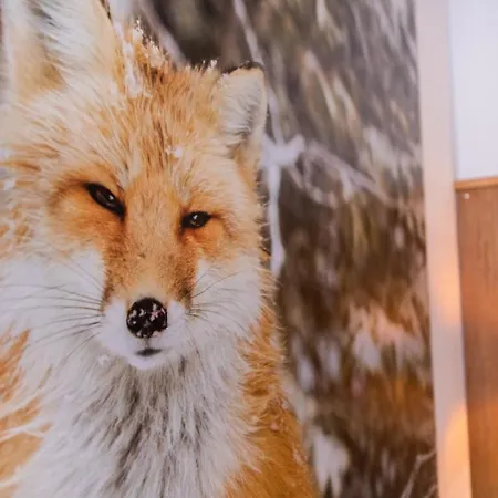 Appartement Mountainlodge Tirol Berwang