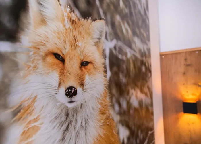 Lägenhet Mountainlodge Tirol Berwang